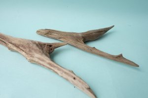 画像6: 変形流木セット