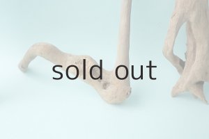 画像5: 流木根セット