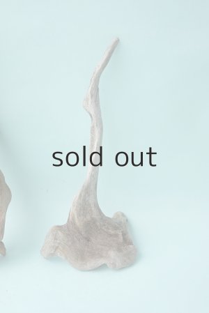 画像4: 流木根セット