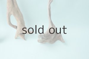 画像6: 流木根セット