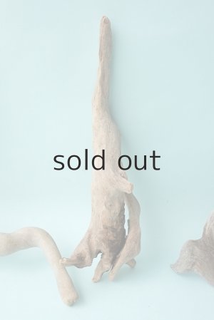 画像3: 流木根セット