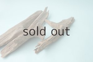 画像7: 変形流木セット