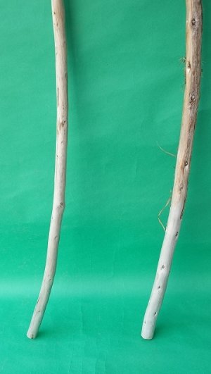 画像2: 棒流木セット（outlet）