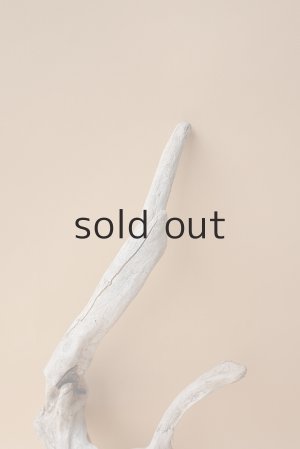 画像3: 変形流木