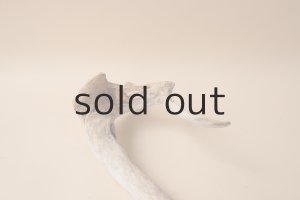 画像6: 変形流木