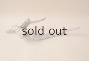 画像5: 変形流木