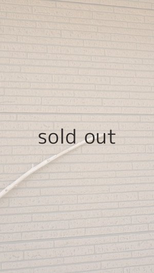 画像5: 棒流木・長尺