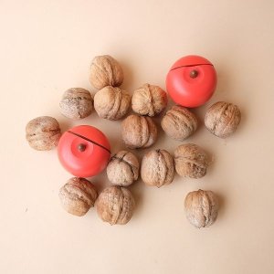 画像2: Dry plants for decor デコール用乾燥胡桃（5個入）