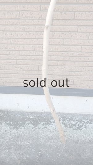 画像2: 棒流木・長尺