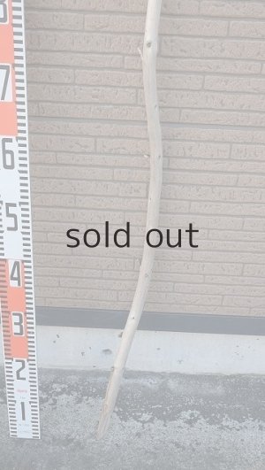 画像6: 棒流木・長尺