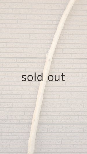 画像3: 棒流木・長尺