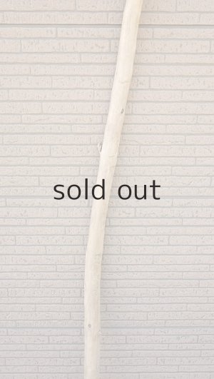 画像3: 棒流木・長尺