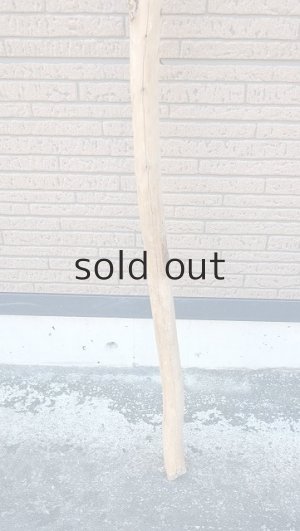 画像2: 棒流木・長尺