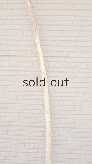 画像3: 棒流木・長尺