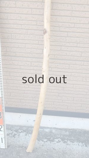 画像5: 棒流木・長尺