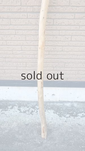 画像2: 棒流木・長尺