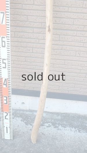 画像5: 棒流木・長尺