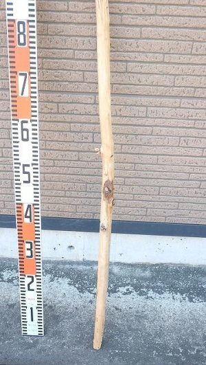 画像5: 棒流木・長尺