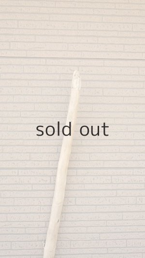 画像4: 棒流木・長尺