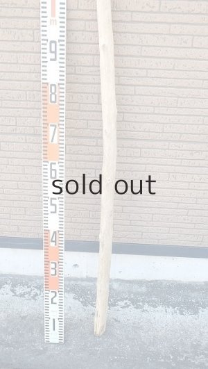 画像5: 棒流木・長尺