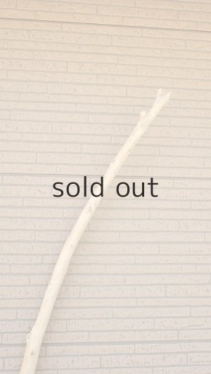 画像4: 棒流木・長尺