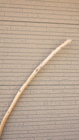 画像4: 棒流木