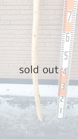 画像5: 棒流木・長尺