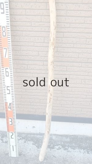 画像5: 棒流木・長尺