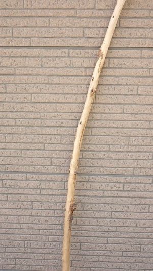 画像3: 棒流木・長尺