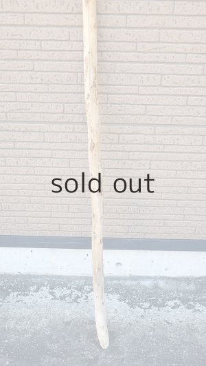 画像2: 棒流木・長尺