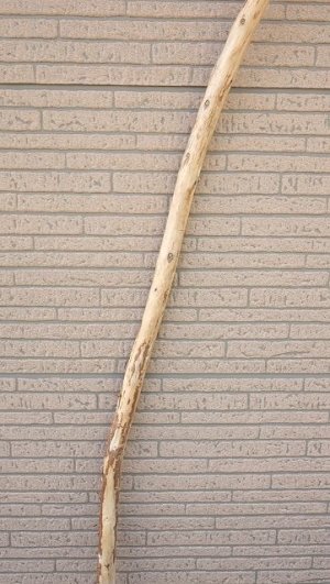 画像3: 棒流木・長尺