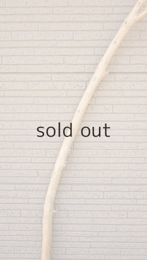 画像3: 棒流木・長尺