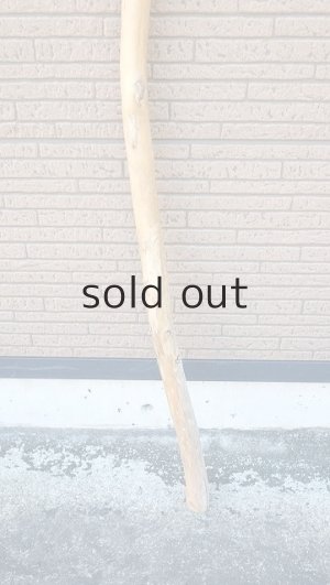 画像2: 棒流木・長尺