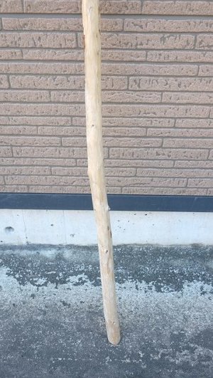 画像2: 棒流木・長尺