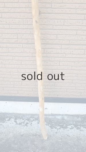 画像2: 棒流木・長尺