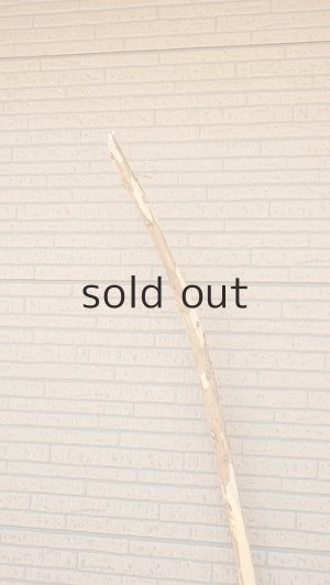 画像4: 棒流木・長尺