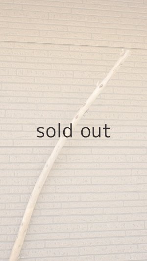 画像4: 棒流木・長尺