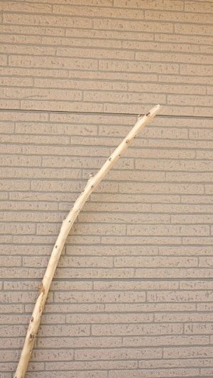 画像4: 棒流木・長尺