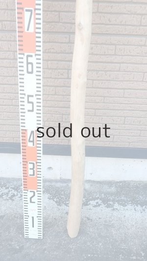 画像5: 棒流木・長尺