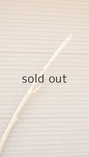 画像4: 棒流木・長尺