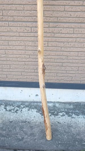 画像2: 棒流木・長尺