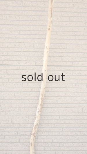 画像3: 棒流木・長尺