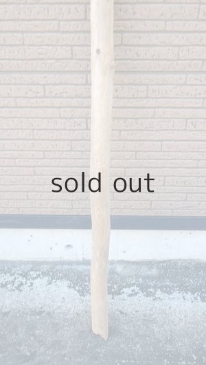 画像2: 棒流木・長尺