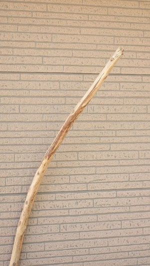 画像4: 棒流木・長尺