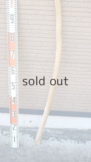 画像5: 棒流木・長尺