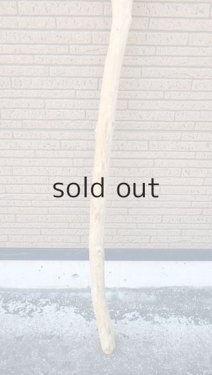 画像2: 棒流木・長尺