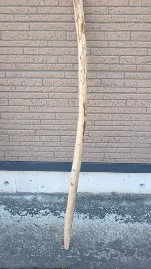 画像5: 棒流木・長尺