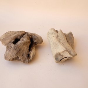 画像6: 変形流木セット