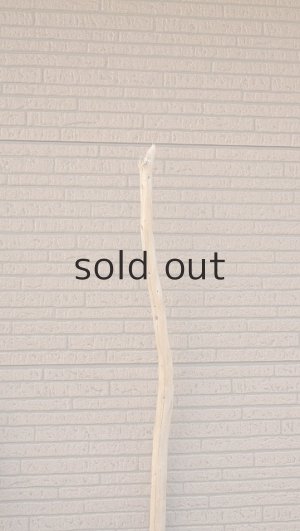 画像6: 大型　幹