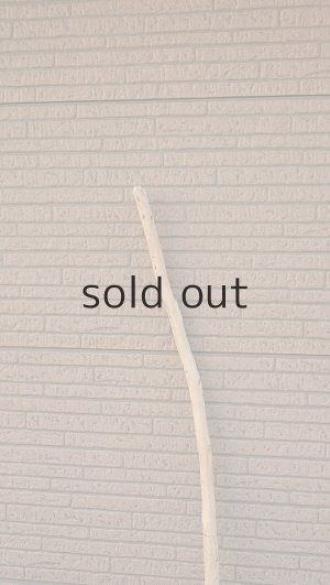 画像5: 大型　幹